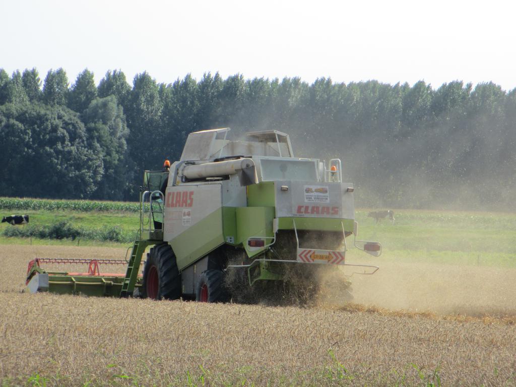 B&B Boerderij Wijtvliet Langeweg Kültér fotó